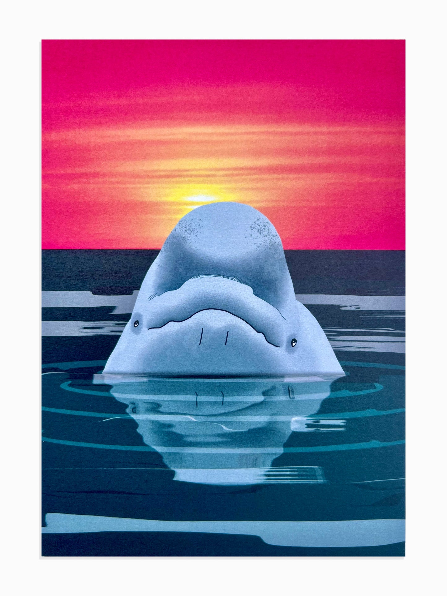 Beluga Whale Art Print