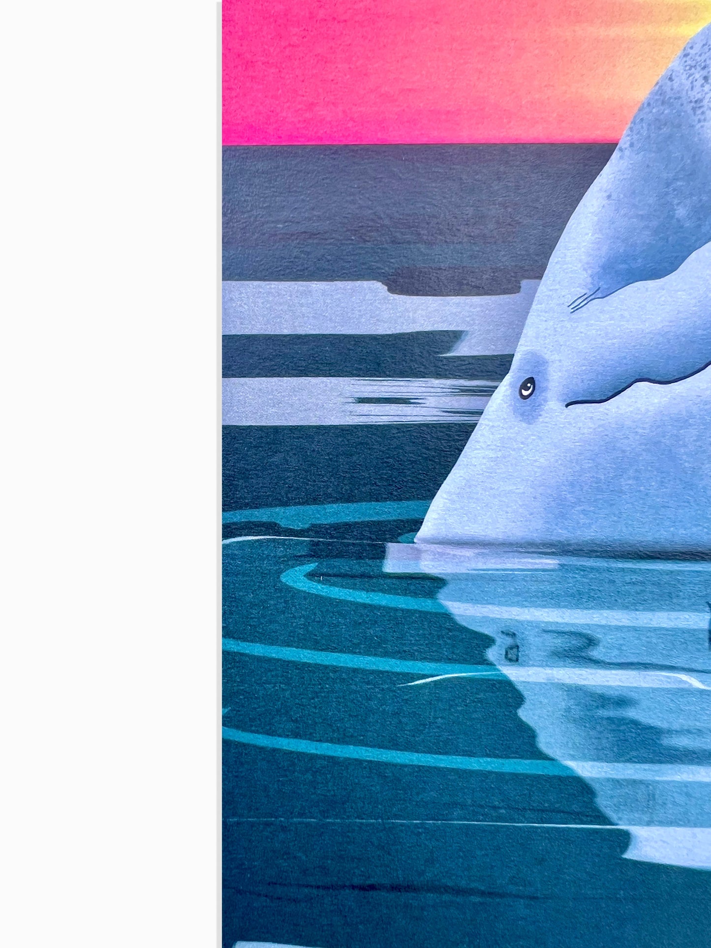 Beluga Whale Art Print