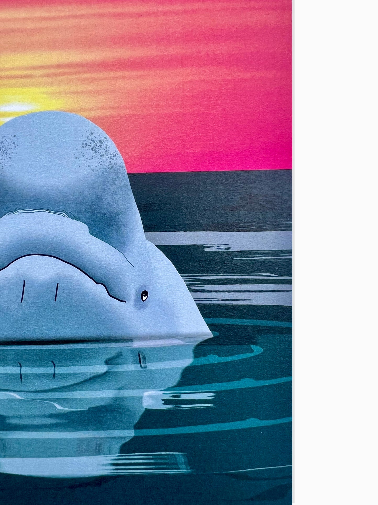 Beluga Whale Art Print