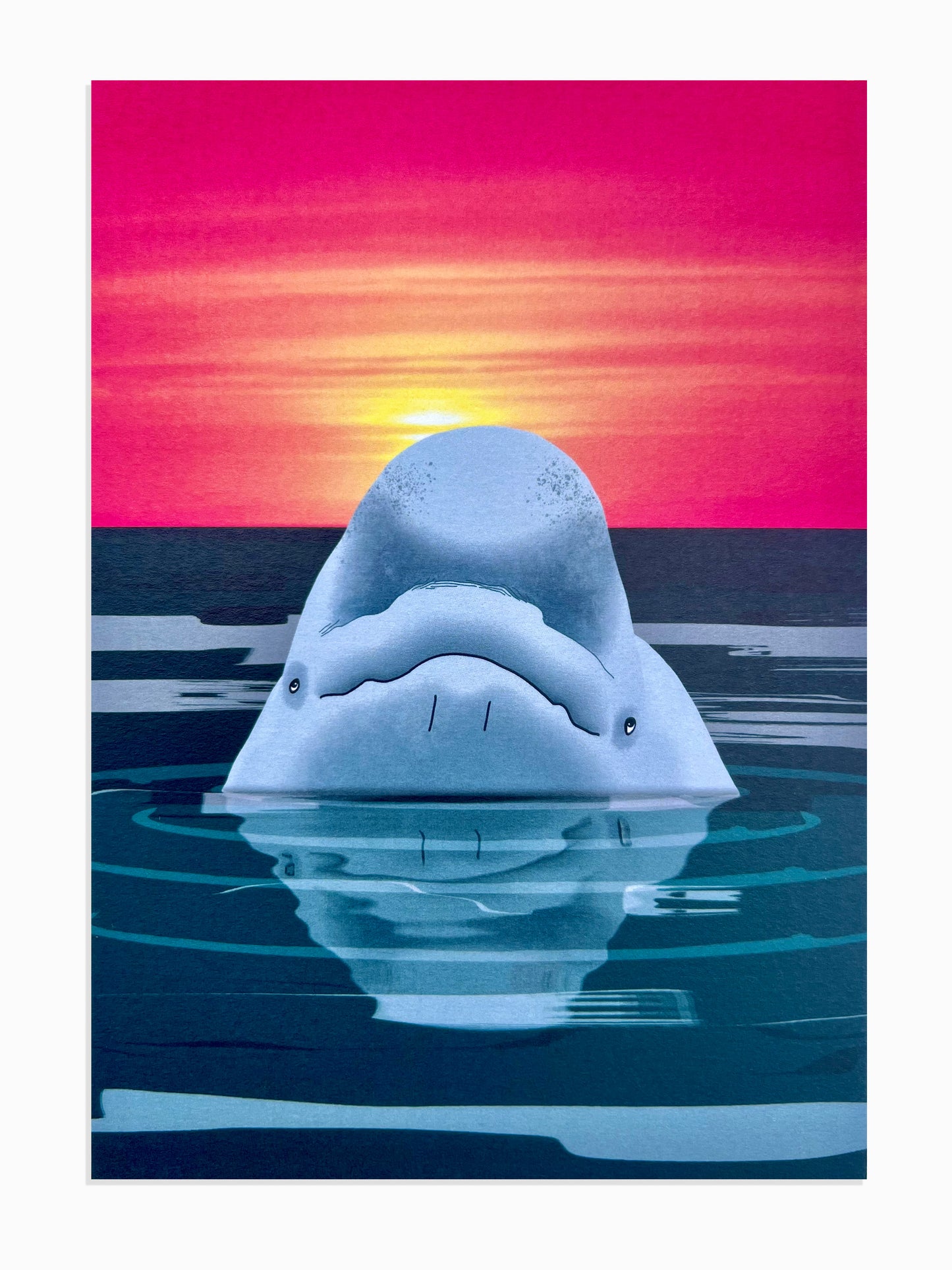 Beluga Whale Art Print